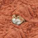 TOONOW Faux Fur Luxury Throw Blanket,Double Side Soft Fluffy Shaggy Fuzzy Blanket for Couch Sofa Bed (Carnelian, X-Large Twin Size)