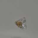 Put and Take, Solid Metal Game Spin Dice, Top Dice Type Game Game of Chance for Parties During Festival Holiday Night Game Bar Game