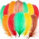 Maysing 500 Pcs Thanksgiving Colorful Craft Turkey Feathers 2-5 Inch Colored Feathers for Fall Thanksgiving Holiday DIY Crafts Angel Wings Dream Catcher and Wedding Party Decor