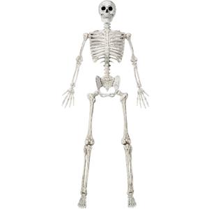 JOYIN 6.9 FT Halloween Skeleton Posable Plastic Full Body Realistic Human Bones with Movable Joints for Indoor Outdoor Halloween Props Spooky Scene Party DecorationsWhite, No Screwdriver