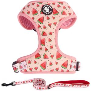 Dog Harness and Leash Set, Adjustable Dog Harness, Dog Leash, No Pull No Choke Puppy Harnesses for Walking Training for Small Medium Pet (M(chest 15.7 - 22.1", Neck 12 - 15"), Watermelon)