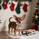 Unique Style Paws Christmas Dog Collar with Bowtie Elk Christmas Man Cotton Puppy Collars for Small Medium Large Dogs