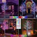 Pooqla 7 ft RGB Lighted Birch Tree, 35 Colors Light Up Tree with Remote, 150 LED Color Changing Artificial Christmas Lighted Trees White Birch Trees for Indoor Outdoor Thanksgiving Yard Decoration