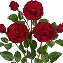 Arborus Real Touch Artificial Roses (Set of 3) – 23.6" Long Stem Red Garden Roses – Lifelike Faux Silk Flowers for Wedding Bouquets, Home Décor, Centerpieces & Floral Arrangements