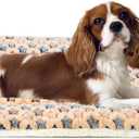 Mora Pets Dog Crate Pad - Ultra Soft Pet Bed With Cute Star Print, Washable Mat for Large Medium Small Dogs, Reversible Fleece Kennel Liner, Cat Bed 23 x 18 Inch Brown