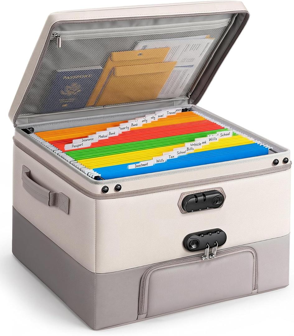 DEEGO Fireproof Document Box with 2 Locks, 10 Hanging File Folders