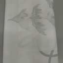 Oh Boy Woodland Baby Shower Backdrop Let The Adventure Begin Baby Shower for Boy Adventure Awaits Balloons Forest Mountains Birthday Party Decorations (Green 1)