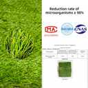 Dog Grass Pee Pad with Tray - Fake Turf Grass Non-Shedding, Odor Resistant Easy Clean, Eco-Reusable Indoor/Outdoor Puppy Potty 34x23inches
