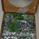 N&T NIETING Fake Roses,25pcs Artificial Flowers Dusty Blue Fake Roses Faux Flowers Fake Flowers for DIY Wedding Bouquets Centerpieces Floral Arrangements Home Decorations Shades of Navy Blue