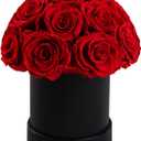 18 Preserved Flowers for Delivery Prime, Roses Dome Forever Flower Decor for Party Home Table Bedroom, Anniversary, Birthday, Wedding Gifts for Women Her (Red)