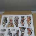 Dexshady Nativity Set for Christmas 12 pcs Manger Scene Holy Family Resin Figures Indoor Decorations Catholic Gift 8 Inch (Multicolor)