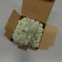 UGASA Soft Corduroy Decorative Pillow Cover 12x20 Inch Boho Striped Oblong Throw Pillow Cover Modern Home Decor for Sofa Living Room Couch Bed Sage Green, 1 Piece