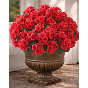 Artificial Flowers for Outdoors 6 Bundles of UV-Resistant Artificial Geraniums, Realistic Silk Flowers for Front Porch, Patio, Garden, Window Boxes & Hanging Baskets (Red, 6)