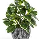 Artificial Plants Indoor Outdoor, Faux Variegated Oak Leaf Plant, Fake Potted Plants Artificial Decor for Coffee Table Desk Shelf, Faux Plants Indoor for Living Room Bathroom Bedroom Entryway Office (Green#02)