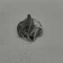 Victoria 8 Inches Cast Iron Tortilla Press, Roti Maker and Tortilladora, Pataconera Seasoned with Flaxseed Oil, Made in Colombia