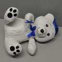 Zomiboo Graduation Bear Autograph Stuffed Animal 2026 Smooth Fabric Stuffed Bear Toy with Congrats 12 Inches Grad Plush Autograph with Marking Pen Gold Tassels for Graduate Student Party(Blue)