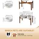 Havniva Elevated Slow Feeder Dog Bowls, 1.6 Cups/8.2 inch Slow Feeders + 7.3 inch Ceramic Dog Food & Water Bowls Set with Acacia Wood Stand Puzzle Bowls for Fast Eater, Medium Dogs Anti-Choking