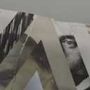 The Master of Contradictions: Thomas Mann and the Making of "The Magic Mountain"