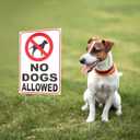3 PC No Dogs Allowed Signs for Yard, 8x12 Double Sided Coroplast Keep Off Grass Sign, Curb Your Dog