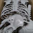 Oddwaxs 8ft Halloween Giant Skeleton - Posable with Glowing Eyes & Luminescent Paint, Tall Outdoor Skeleton Full Body Life-Like Bones for Halloween Decorations
