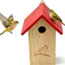 Wooden Bird Houses for Outside Hanging (Red, 1.38") | Small Bird House, Outdoor Bird Box