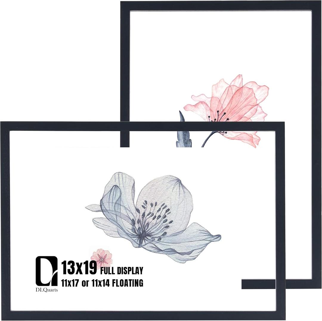 DLQuarts 13x19 Floating Picture Frame for 11x17/11x14 Photos, 2-Pack Solid Wood Double Plexiglass Wall Art Frames, Any Size Photo up to 13x19 Display, Matte Black