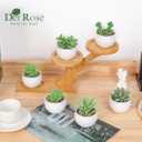 Der Rose Set of 6 Succulents Plants Artificial in Pots Small Fake Plants for Bedroom Aesthetic Living Room Shelf Bathroom Decor Office Desk Accessories