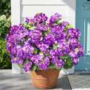 Fake Geraniums Artificial Flowers for Outdoors Outside, 6 Bundles Purple Silk Geraniums Fake Flowers Plants Realistic UV Resistant Faux Flowers for Outdoor Planters Garden Balcony Yard Porch Indoor