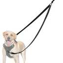 PetBonus Two Point Control Dog Leash, Works with No Pull Harnesses, No Tangle Training Leashes, Soft Padded and Reflective Walking Lead, Converts to Single Lead for Medium Large Dogs (Black)