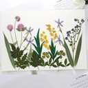 2 x Real Pressed Flowers, Natural Dried Pressed Flowers for Resin Mold, Paper Making, Art Frame Making, Soap, Candle, DIY Craft Supplies Beginner Kits (Fq-cp05)