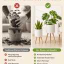 2 Pack Plant Stand, Metal Planter Holder with Wooden Legs, White