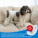 Pet Soft Disposable Male Dog Wraps - Dog Diapers for Male Dogs, Puppy Diapers 12pcs Medium