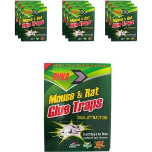 Ruva Mouse Glue Traps Indoor for Home – XXL 12.4” x 12.4” Large Sticky Traps for Mice, Rats & Snakes – Heavy Duty Rat Traps Indoor & Outdoor – Pest Control Glue Boards for Rodents & Insects – 10 Count