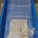 Pronetcus Hamster cage for Hamsters, Gerbils, mice, Rats, Small Guinea Pigs and Other Small Animals.