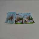 Little Dinosaur in Bag 3+ (3 Pieces)