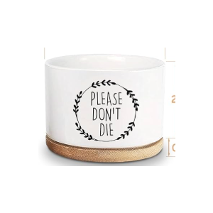 I Will Survive- Funny White Succulent Pots Home Kitchen Office Decor, Funny Mini Pot Desktop Decor, Friendship Gift for Plant Lover, Succulent Flower Pot, Cute Pots for Plants
