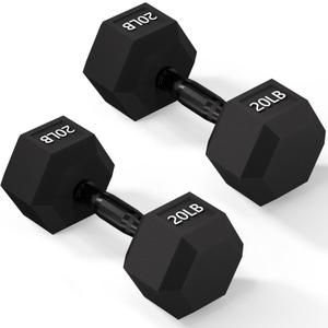 Rubber Encased Exercise & Fitness Hex Dumbbell, Hand Weights with Anti-Slip Metal Handle for Home Gym, 20 LB, Single 
