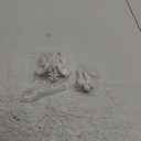 Movable Female Pelvis Model w/Elastic Two Movable Femur Heads and Joints, Mini Size Female Pelvic Anatomy Model for Science Education, Midwife in Obstetrics, Gynecology Patient Communication