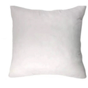 Pillow Insert 20x20