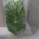 4ft 2pcs Large Artificial Plants Fake Palm Tree Tropical Palm Leaves Faux Palm Plants Tall Tree Indoor Real Touch Plastic Monstera Leaves for Home Garden Outdoor Office Decor (4ft/125cm-2pcs)