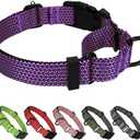 BXPAW Martingale Dog Collars Adjustable Training Martingale Collar for Dogs - Reflective No Pull Dog Collar with Quick Release Buckle XL