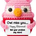 Owl Crochet Retirement Gift for Female Coworker Teacher, Cute Handmade Pink Owl Birthday Present for Mom or Friend, Funny Farewell Keepsake, Handmade Collectible Party Decoration