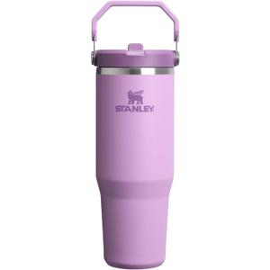 Stanley IceFlow 2.0 Flip Straw Tumbler with Handle 30 oz | Twist On Lid and Flip Up Straw | Leak Resistant Water Bottle | Insulated Stainless Steel | BPA-Free | Lilac