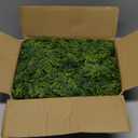 Christmas Cedar Garland for Christmas - Artificial Realistic Cypress Pine Greenery Garland for Mantel, Fireplace, Table Centerpiece Home Indoor Outdoor Holiday Party Decoration (Light Green)