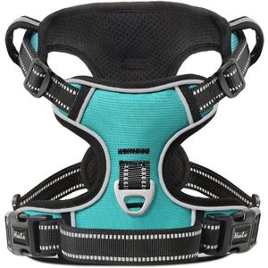 HEELE Dog Harness Dog Harness Small Dog No Pull Harness wiht Soft Handle Reflective Harness Adjustable, Turquoise, XS