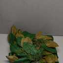 6 Ft Realistic Magnolia Garland with Artificial Faux Cedar, Brown And Green Magnolia Leaf Garland Christmas Decorations For Mantle Fireplaces Stair Xmas Holiday Party Table Decor