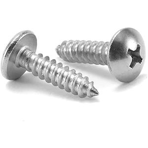 #14 x 3/4" Wood Screw 100Pcs Truss Head Phillips 18-8 (304) Stainless Steel Fast Self Tapping Screws by SG TZH