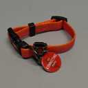 Cat Collar Breakaway with QR Code Name Tag,Pet ID Tag,Cute Kitty Collar with Bell,Scan QR Receive Instant Pet Location Alert Email (Orange)