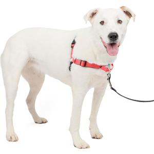 PetSafe Deluxe Easy Walk Harness - Trainer-Trusted Dog Chest Harness with Breathable Martingale Loop Design - Helps Stop Pulling with No Choking & Gagging - Medium/Large - Rose