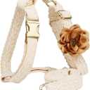 Small Dog Harness and Leash Set Cute Harness for Girl Dogs Luxury Fancy Puppy Harness with Bow Adjustable Lace Flowers Dog Harness No Pull with Handle for Easy Dog Walking (White, S)
